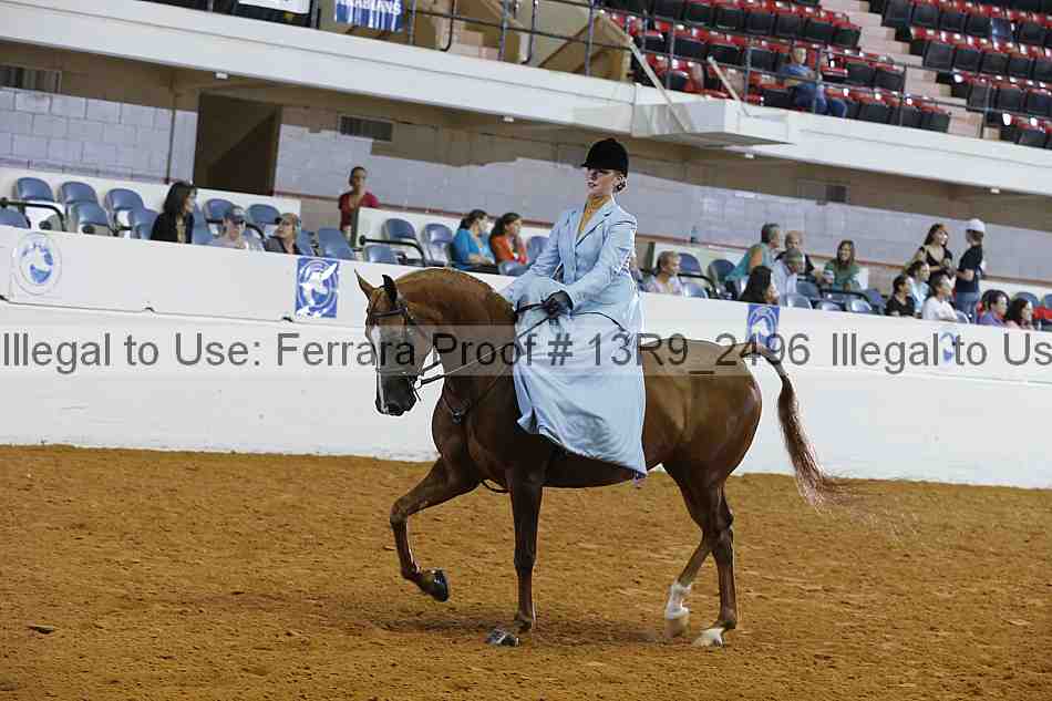 Proof 13r9_2496