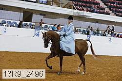 13r9_2496 proof
