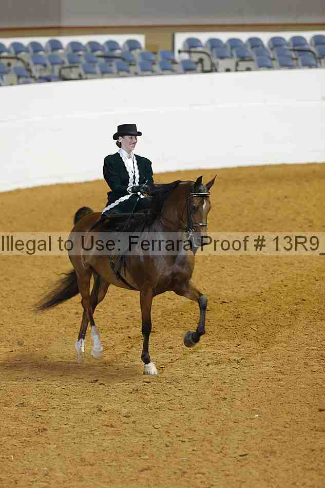 Proof 13r9_2498