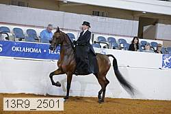 13r9_2501 proof