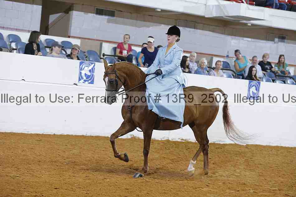 Proof 13r9_2502