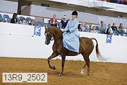 13r9_2502 proof