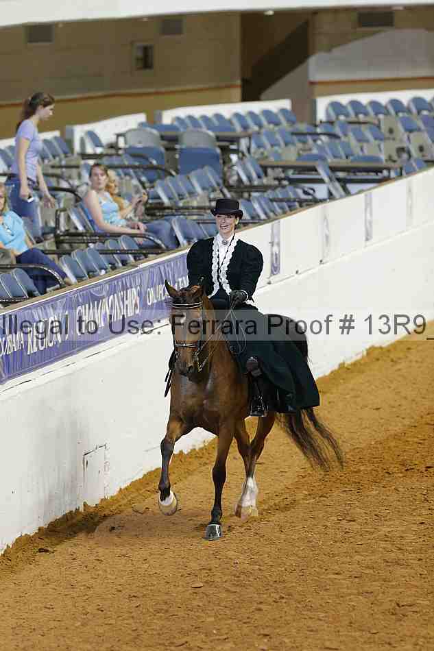 Proof 13r9_2505