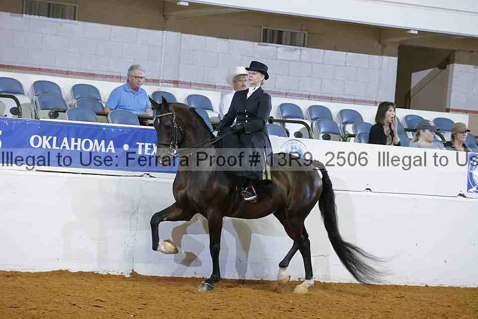 Proof 13r9_2506