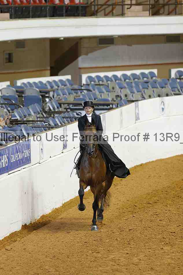 Proof 13r9_2507