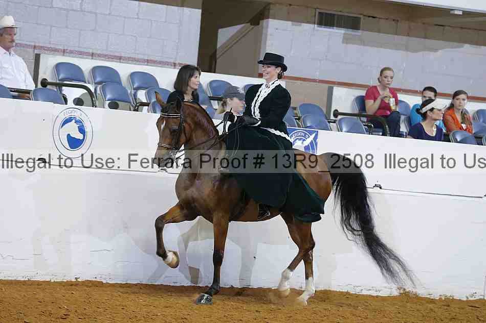 Proof 13r9_2508