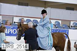 13r9_2514 proof