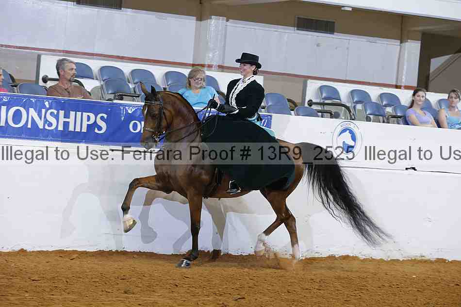 Proof 13r9_2525