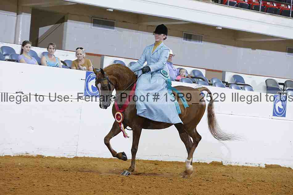 Proof 13r9_2529