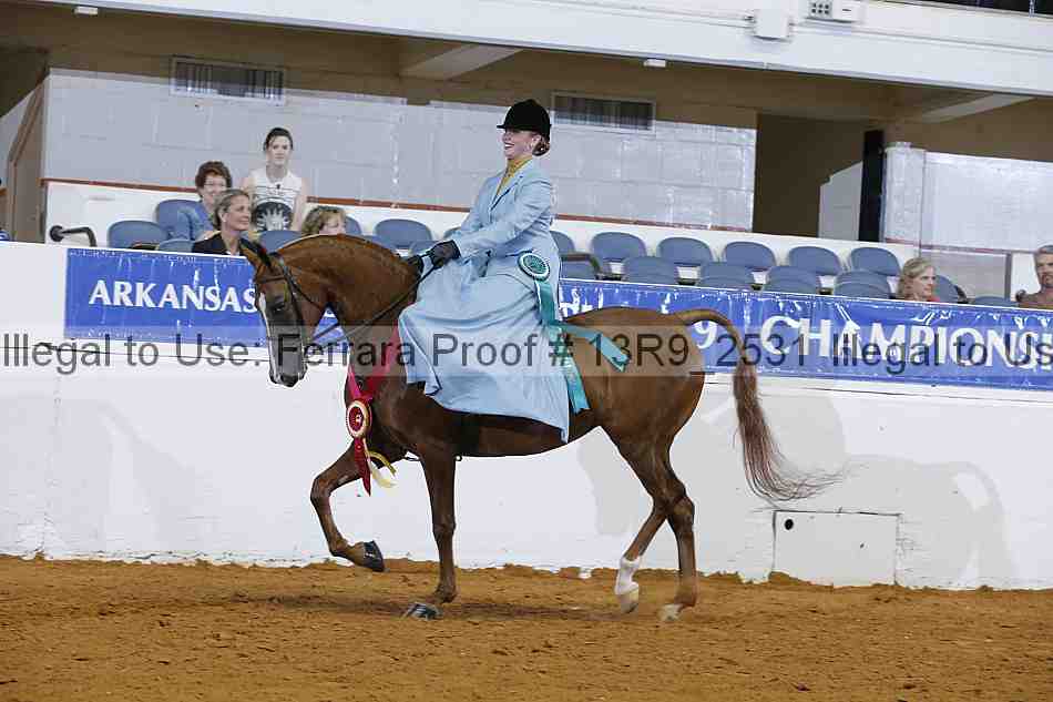 Proof 13r9_2531