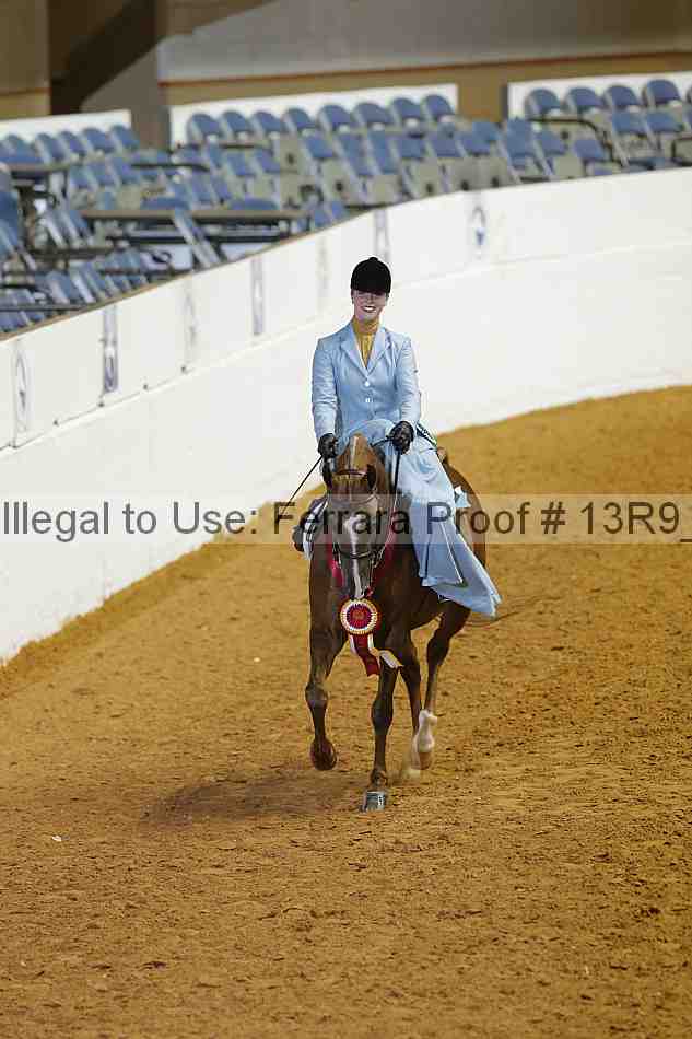 Proof 13r9_2532