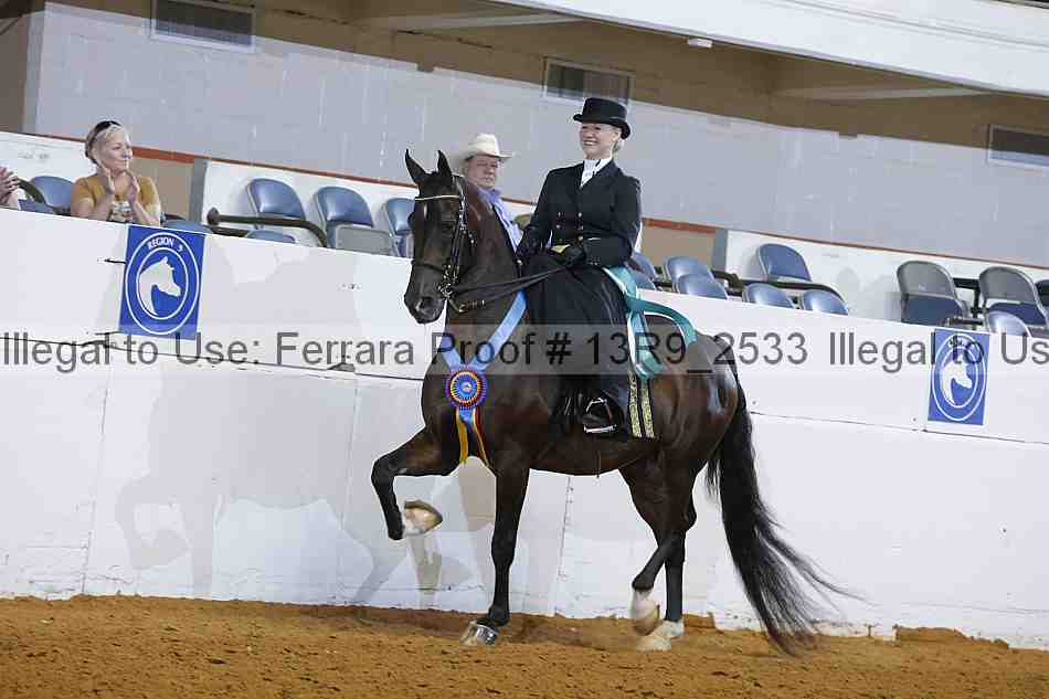 Proof 13r9_2533