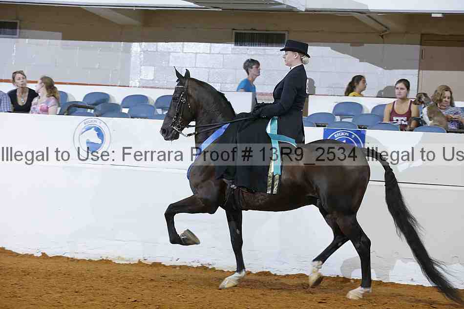 Proof 13r9_2534