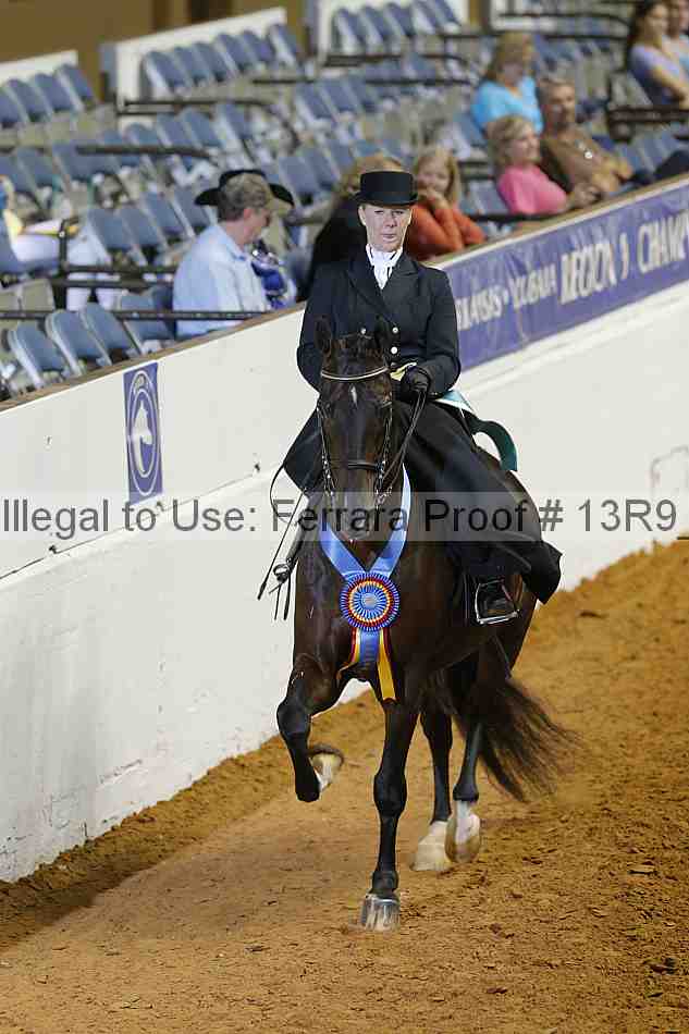 Proof 13r9_2536