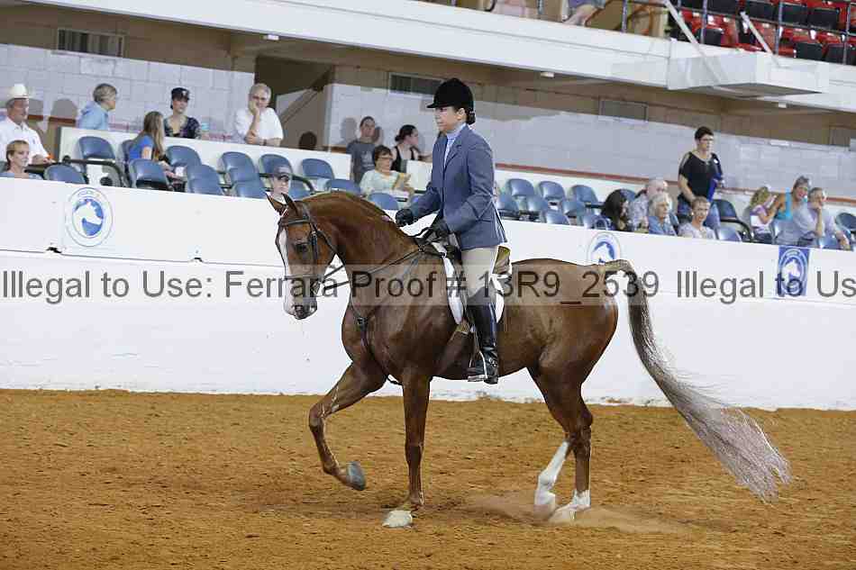 Proof 13r9_2539