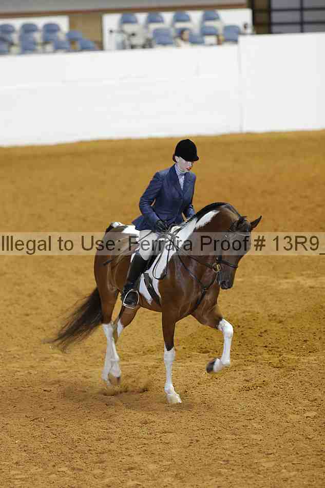 Proof 13r9_2541