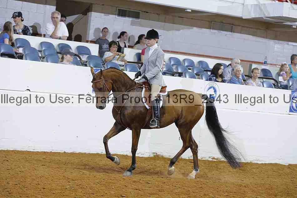 Proof 13r9_2543