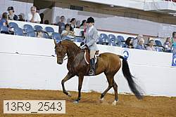 13r9_2543 proof