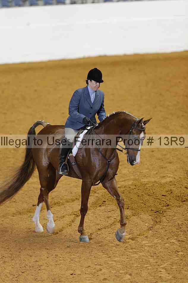 Proof 13r9_2545