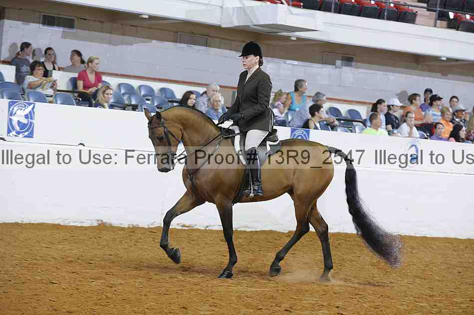 Proof 13r9_2547
