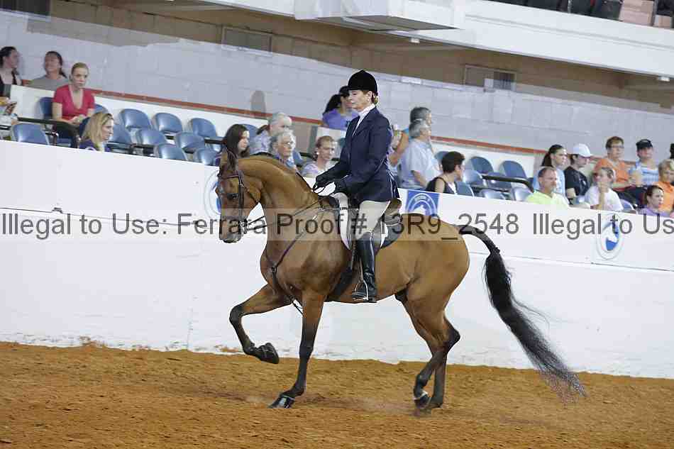 Proof 13r9_2548