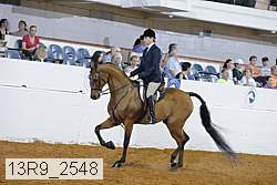 13r9_2548 proof