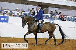 13r9_2550 proof