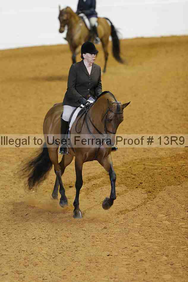 Proof 13r9_2556