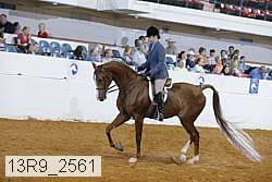 13r9_2561 proof