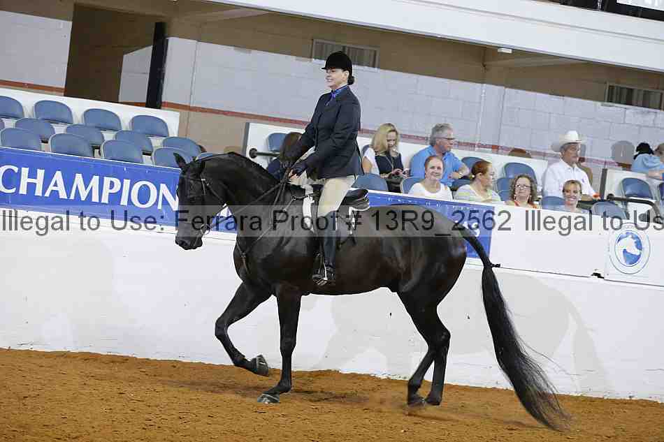 Proof 13r9_2562