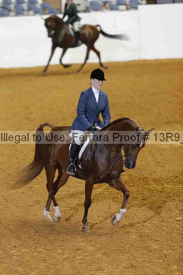 Proof 13r9_2563
