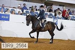 13r9_2564 proof