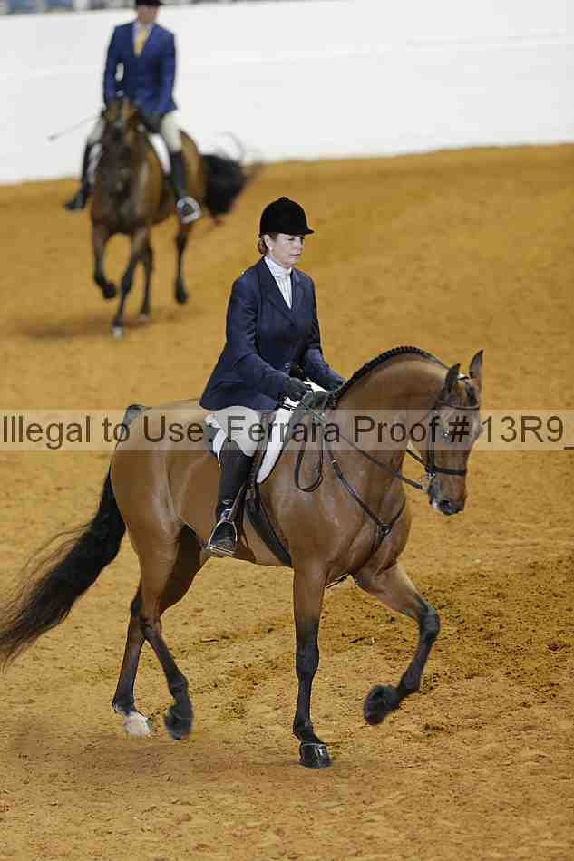 Proof 13r9_2565
