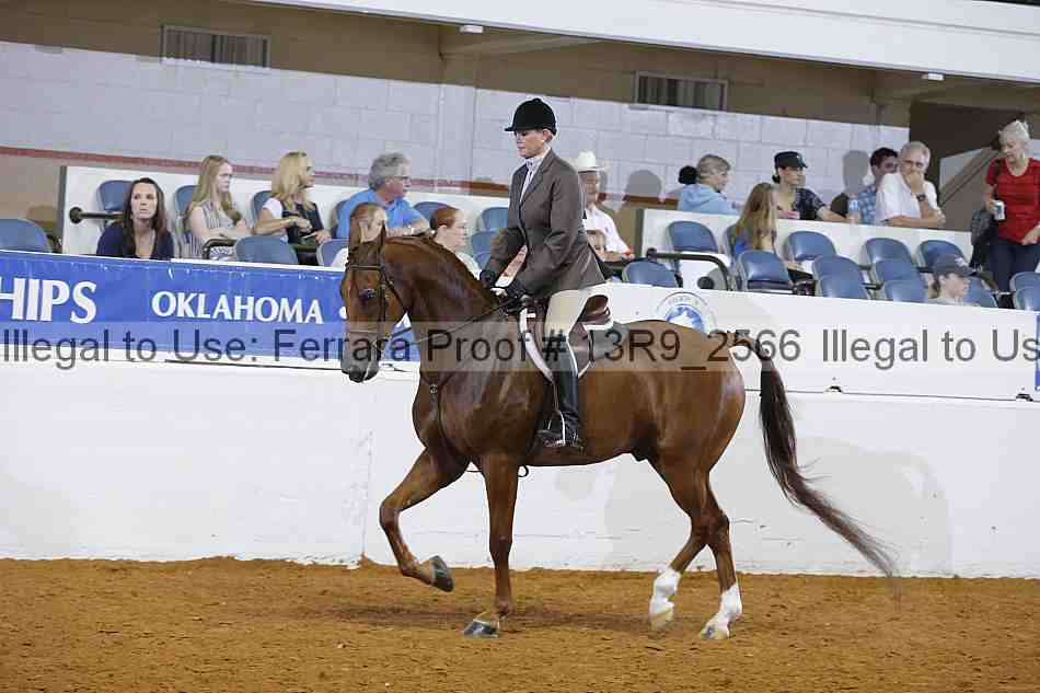 Proof 13r9_2566