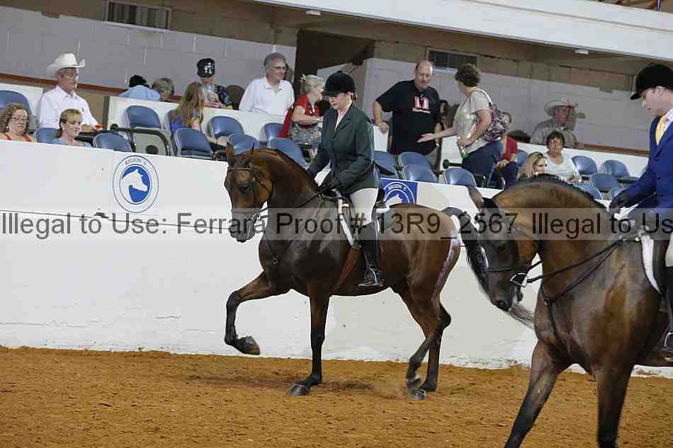 Proof 13r9_2567