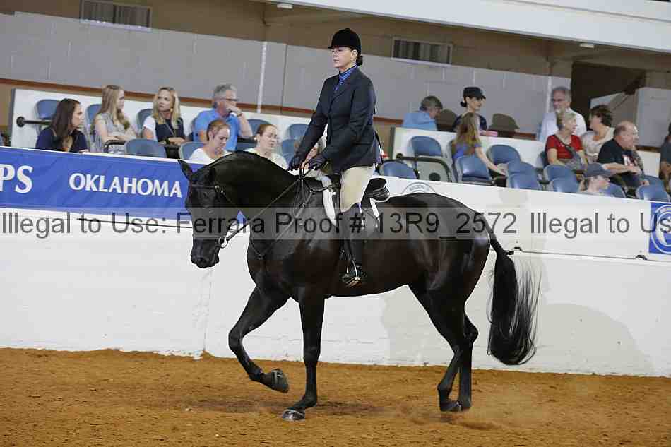 Proof 13r9_2572