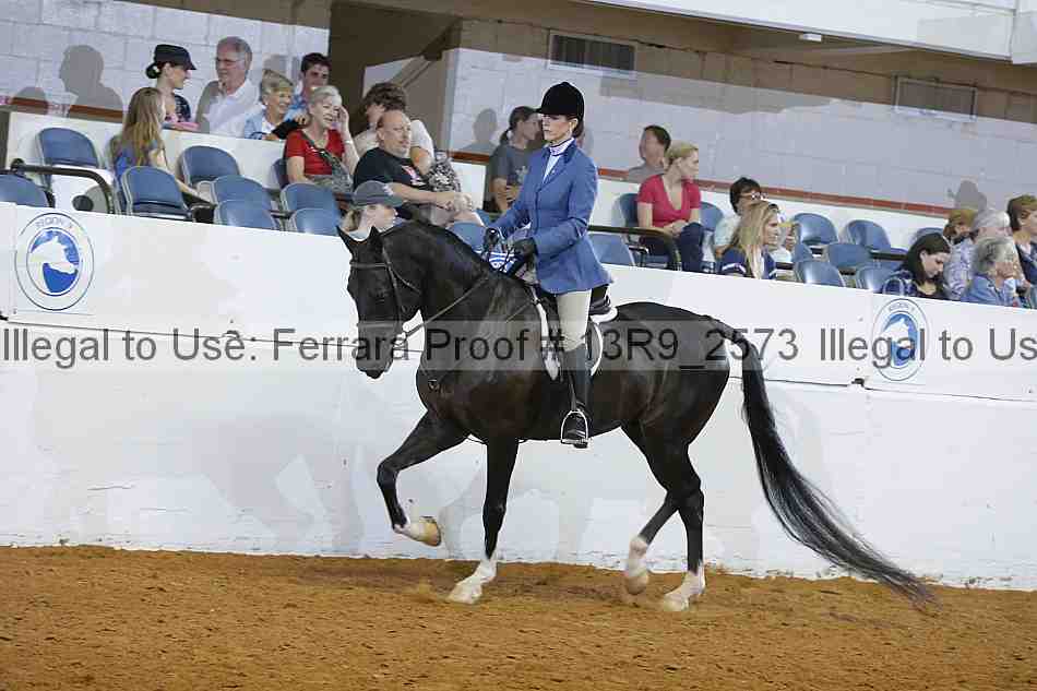 Proof 13r9_2573