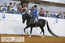 13r9_2573 proof