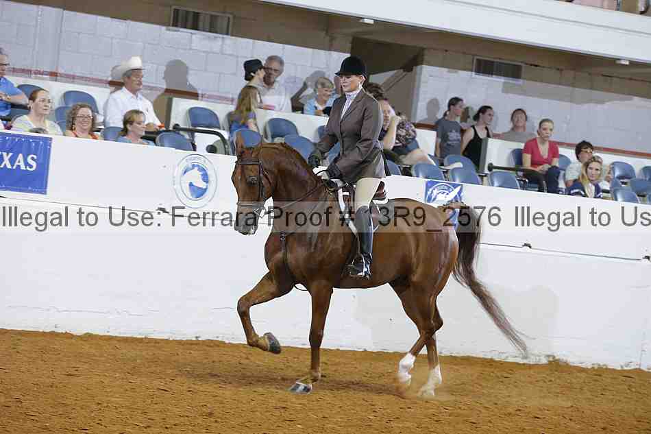 Proof 13r9_2576