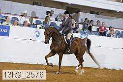13r9_2576 proof
