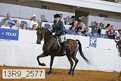 13r9_2577 proof