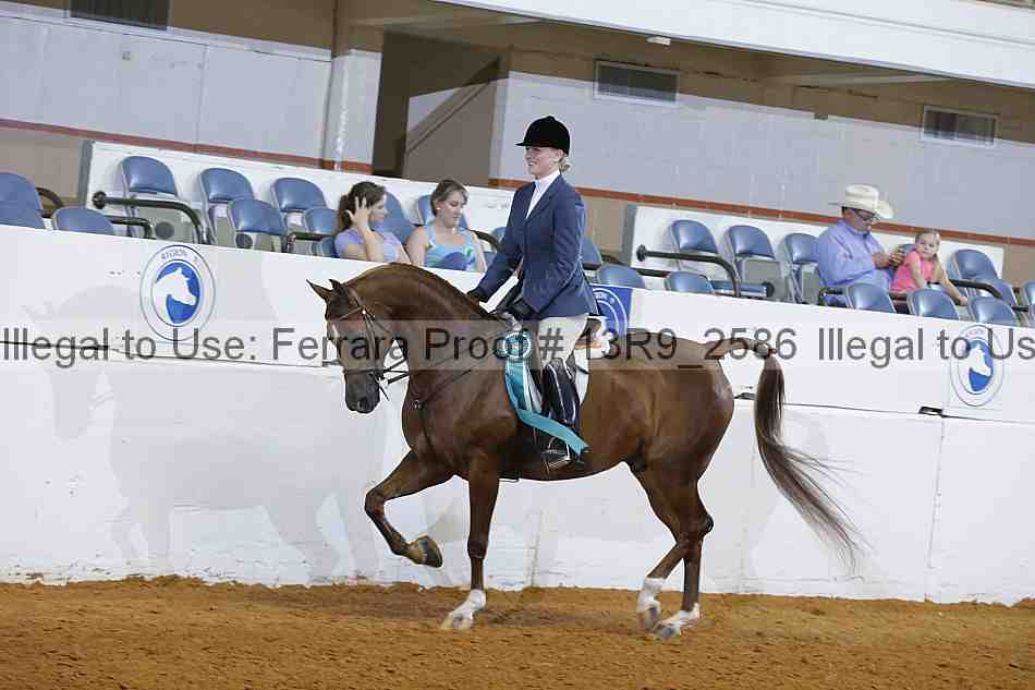 Proof 13r9_2586
