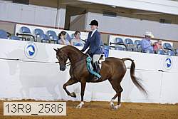 13r9_2586 proof