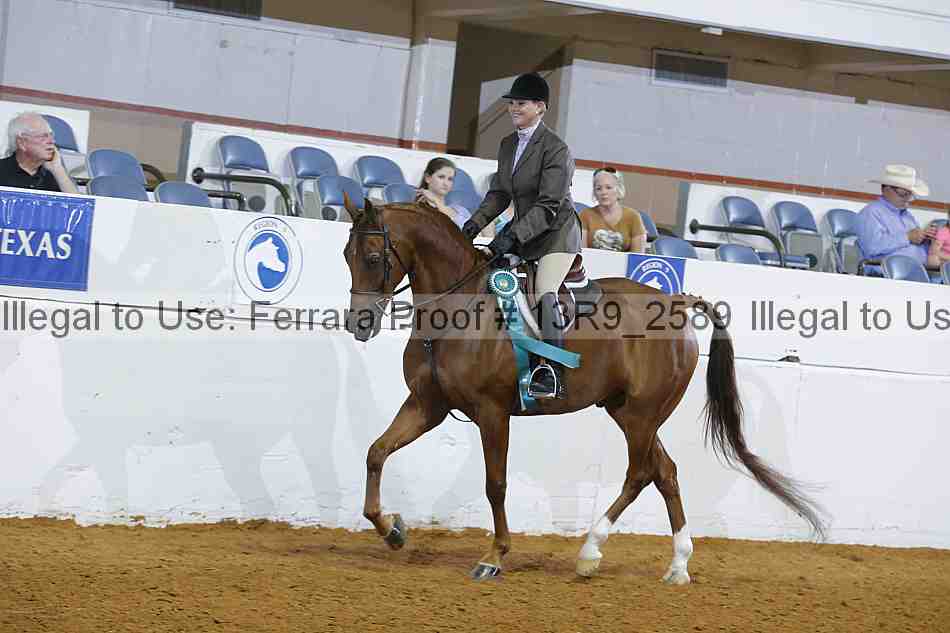 Proof 13r9_2589