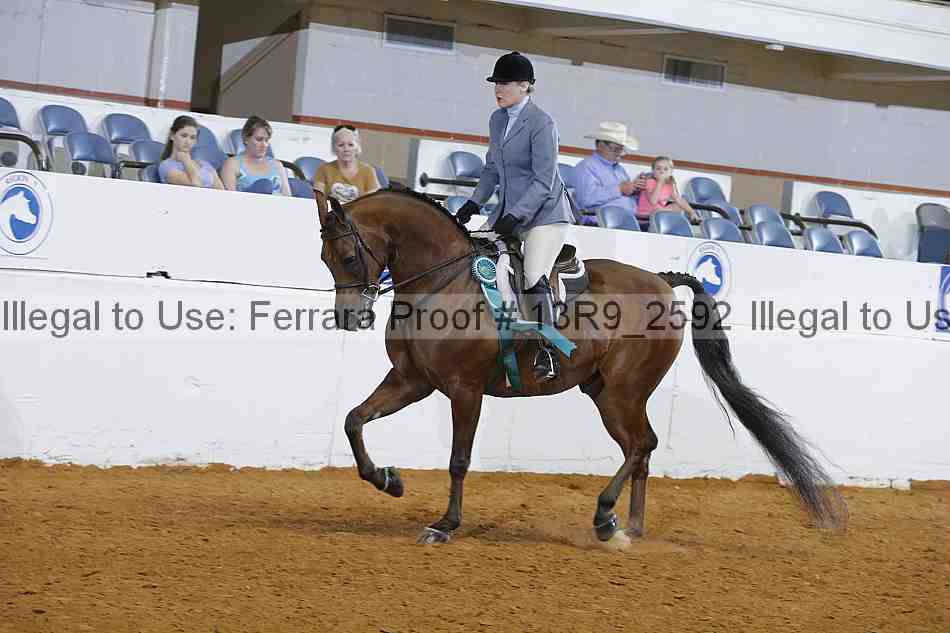 Proof 13r9_2592