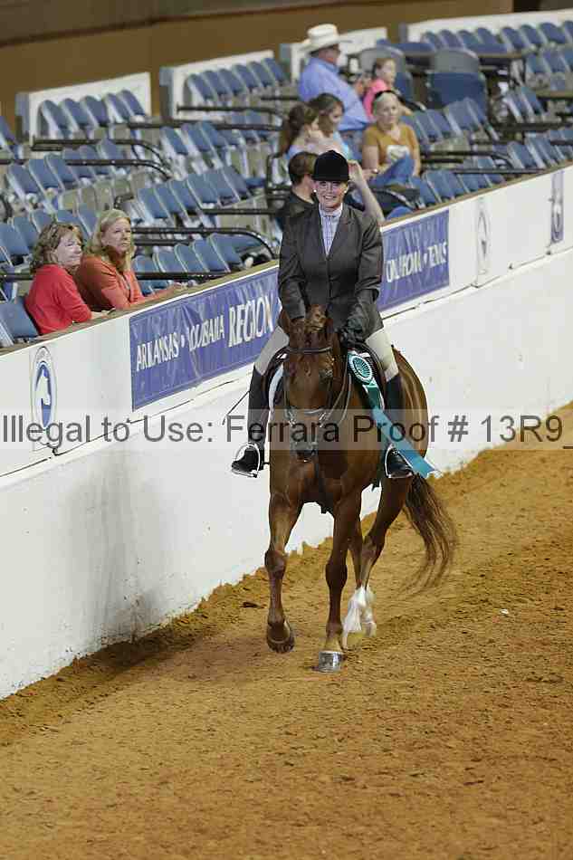 Proof 13r9_2593