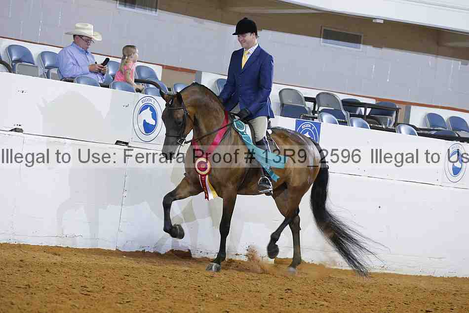 Proof 13r9_2596