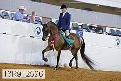 13r9_2596 proof