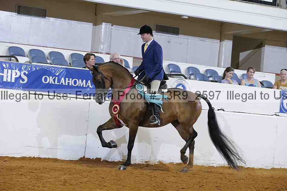 Proof 13r9_2597