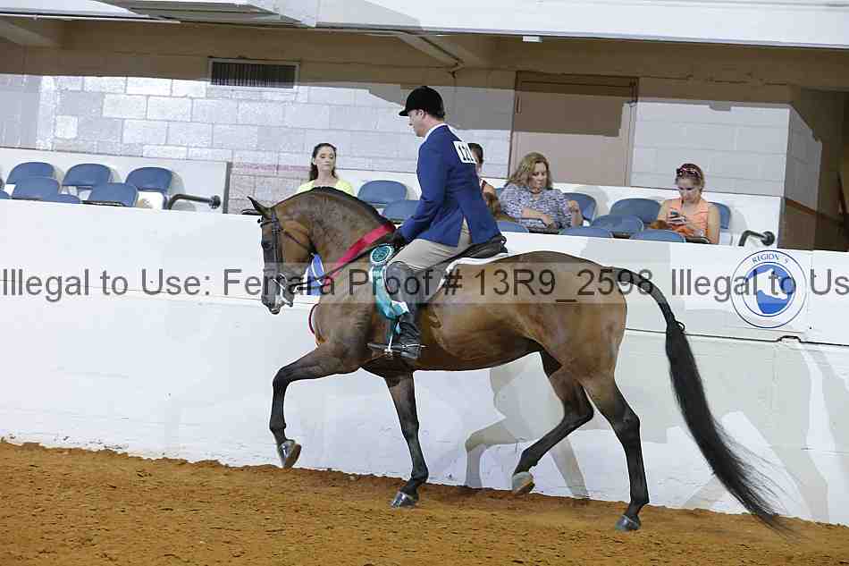 Proof 13r9_2598